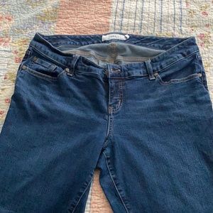 Torrid Jeans